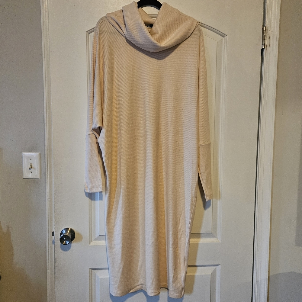 Express Cream Cowl Neck Sweater Dress